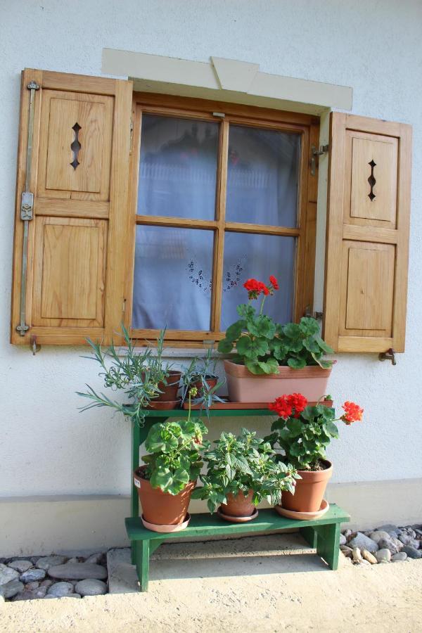 Sleeping In Village Svecina Exterior photo